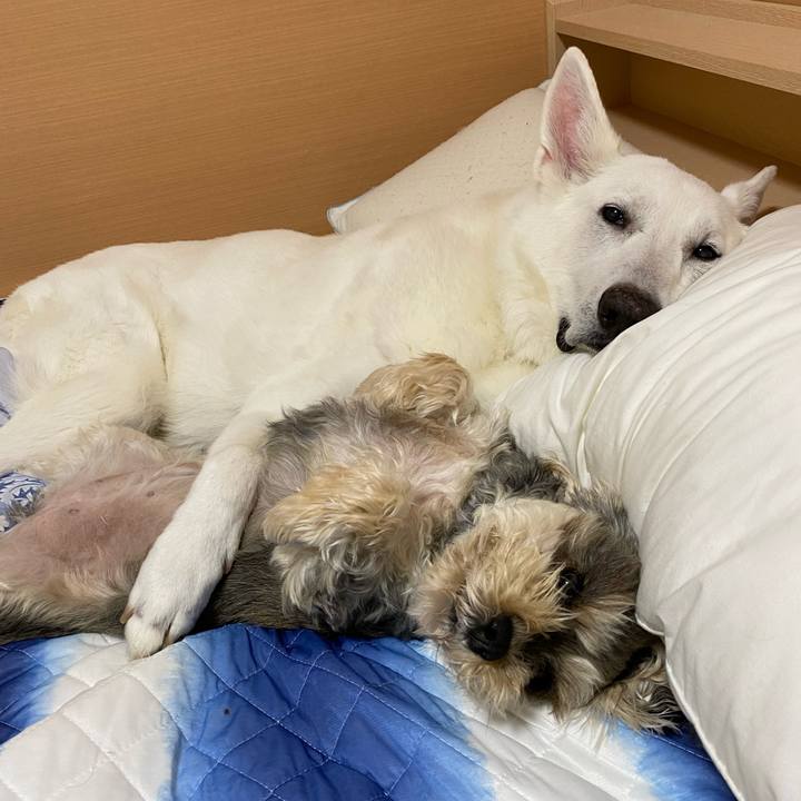 93f46524 fed0 4add be79 7ad0df410744 1638951704446