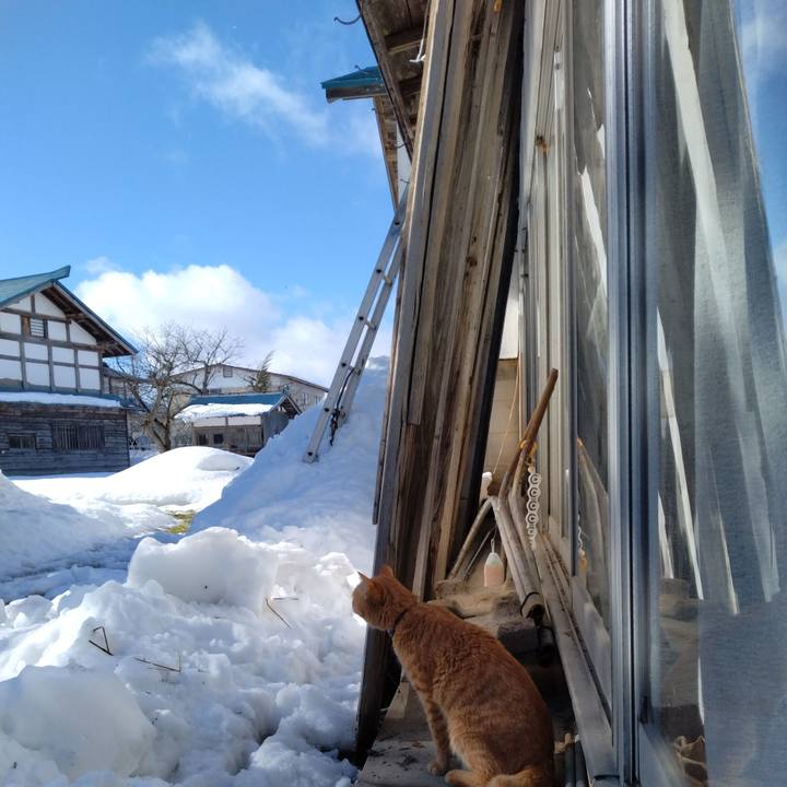 93f49861 9956 4b00 86ba 45bfb55ce2f5 1672108313247