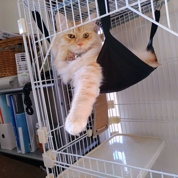 93f4ccc4 36e4 47de b294 74da32ba5120 1692138241867