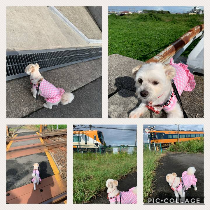 93f4ee23 c291 4f79 b29c 354078d4d457 1599374721496