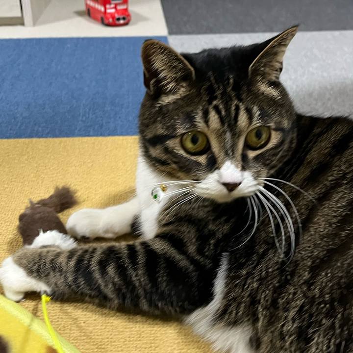 93f4f8f2 d23f 4e55 b96a 8fe7ea759579 1772494348495