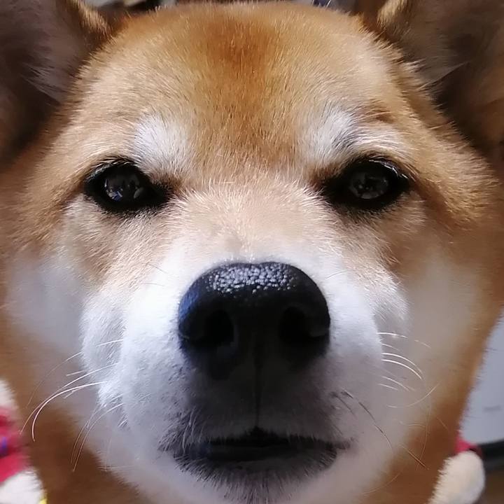 93f50b49 91d2 41d2 b9d8 daaa69ce83d7 1635417323849