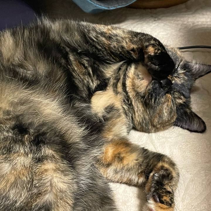 93f54ff2 795a 4d13 a5fc 84579bf352e9 1640694931916