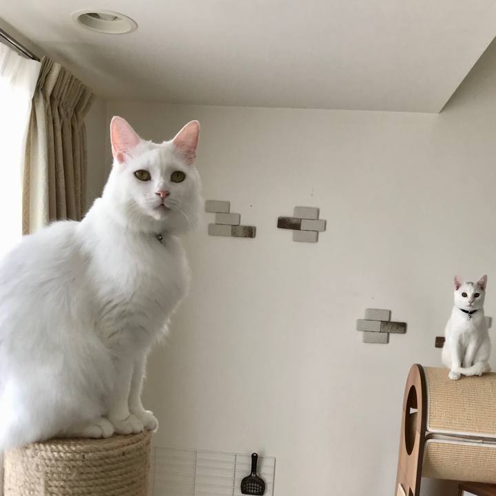 93f5591a 4b3e 418d 8e11 bef4c3ed9505 1573011828882