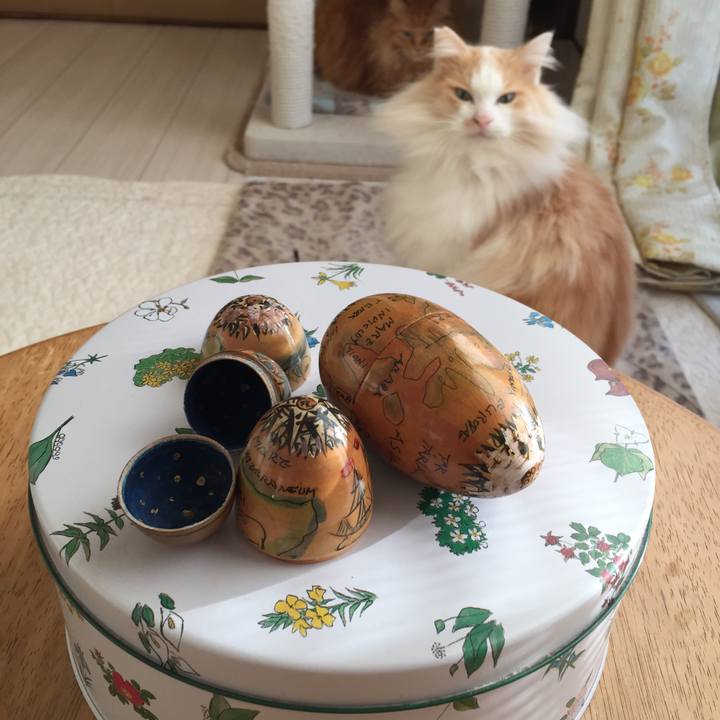 93f55ebc 7e1d 400b aad8 a38d6c31e441 1514932058098