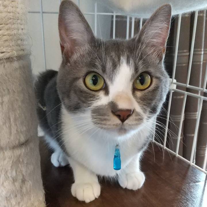 93f5b47e c146 491d 97ea ecead6b25d8c 1596170718155