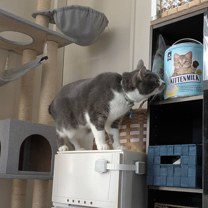 93f5c012 7f19 48d2 8df2 d06ec57acb84 1767235308584