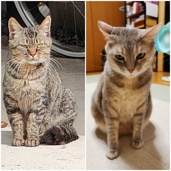 93f61eaa d135 4496 acef c73058fd9d6e 1650804042448