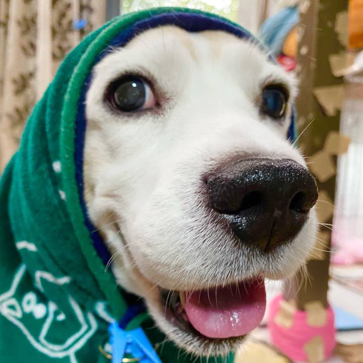 93f6463a 75c8 4fed ac71 0faf137bc5f0 1636170485068