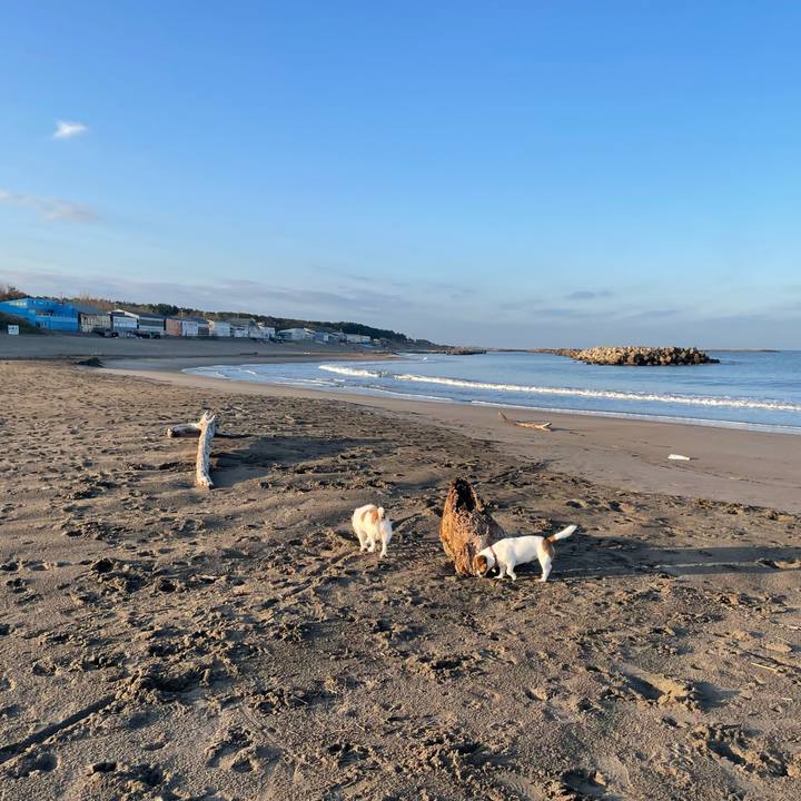 93f658e8 2fcf 41e4 97d7 68170bfc6e8b 1731540630233