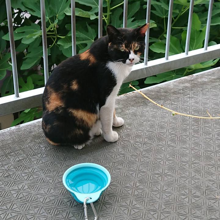 93f665d2 5dcc 4245 a81f 82eb50245b8c 1531799228047