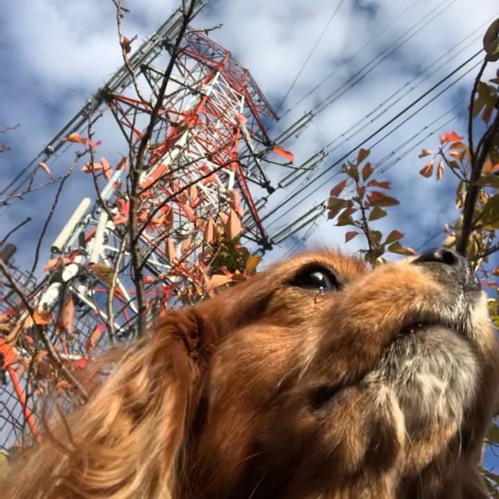 93f68b97 3366 4bb8 9f4b 6a957bf931de 1636243102749