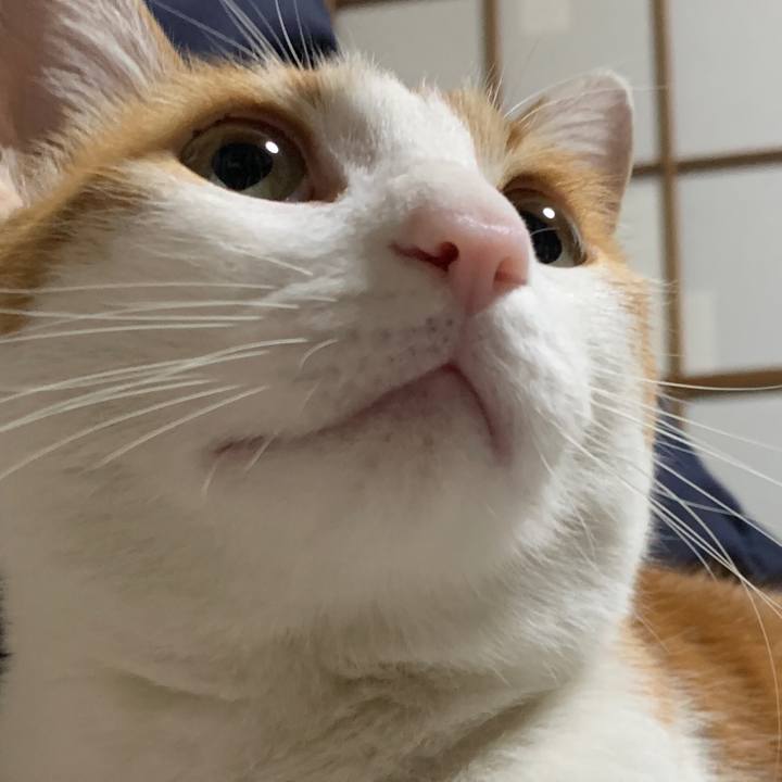 93f69865 0374 4f04 8e0a 1d1b72989cad 1613227075537