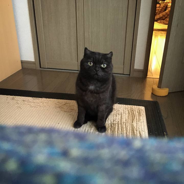 93f6aae5 f8ee 470a 9331 2a0488a692b2 1515725174449