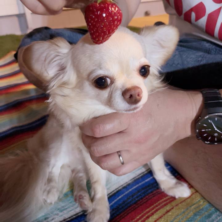 93f6dff8 3bec 485f beea 7d18e80bced7 1747817184237