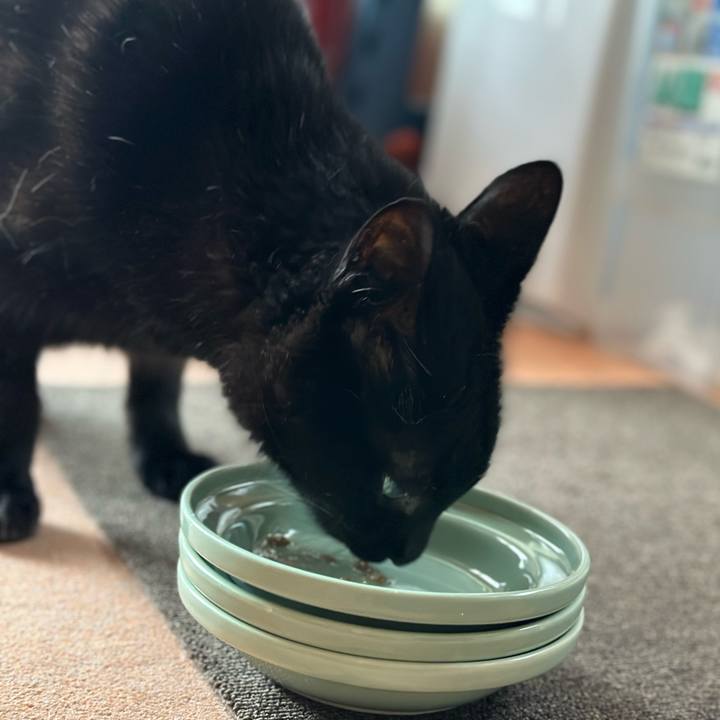 93f723cd eb98 438c a7b6 b29e6ed2c9b1 1695259940512