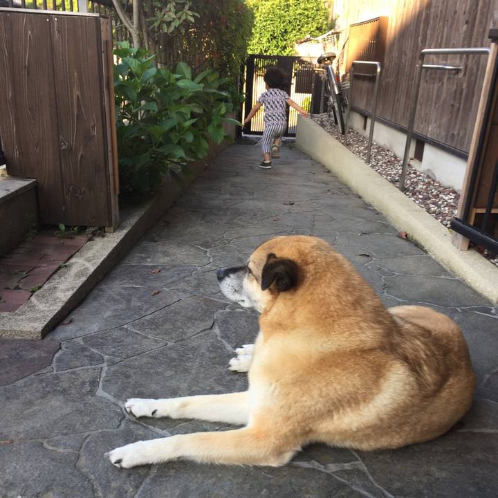 93f7357c 523f 444a 8724 b0b18f4d6edc 1527944085488