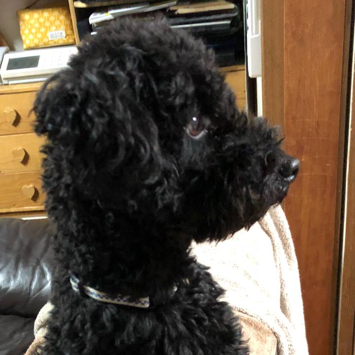 93f735c9 b490 4422 a7f0 992920cbf02a 1524833497760