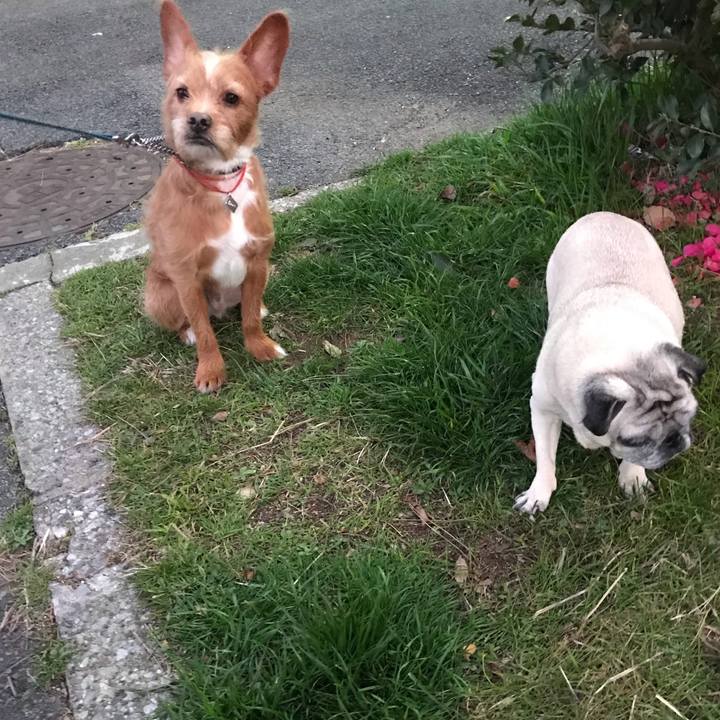 93f75ddb ab2e 44c5 a97e f85d06d3d03d 1580901662227