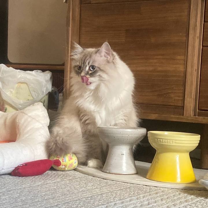 93f7607d a7e5 4a8d a4ea 02769a8cba9d 1739176060295