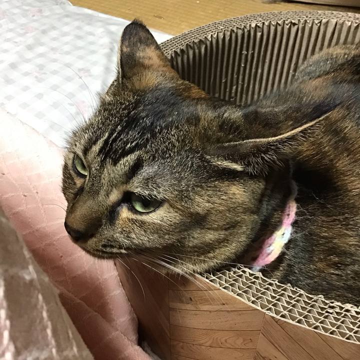 93f76b9b 62de 4b05 91bb 3cdf9eb89437 1698665074328