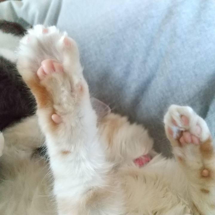 93f77088 7b1e 45e3 bca1 c2c8a5939884 1612656711302