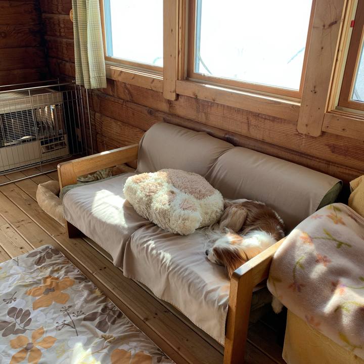 93f77e5c 3d32 4bff b930 b119f15b6fe5 1581554346946