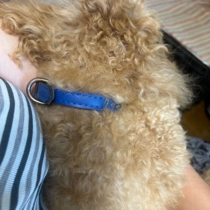 93f78624 3dc2 48a5 8e32 b786cc795114 1723529978550