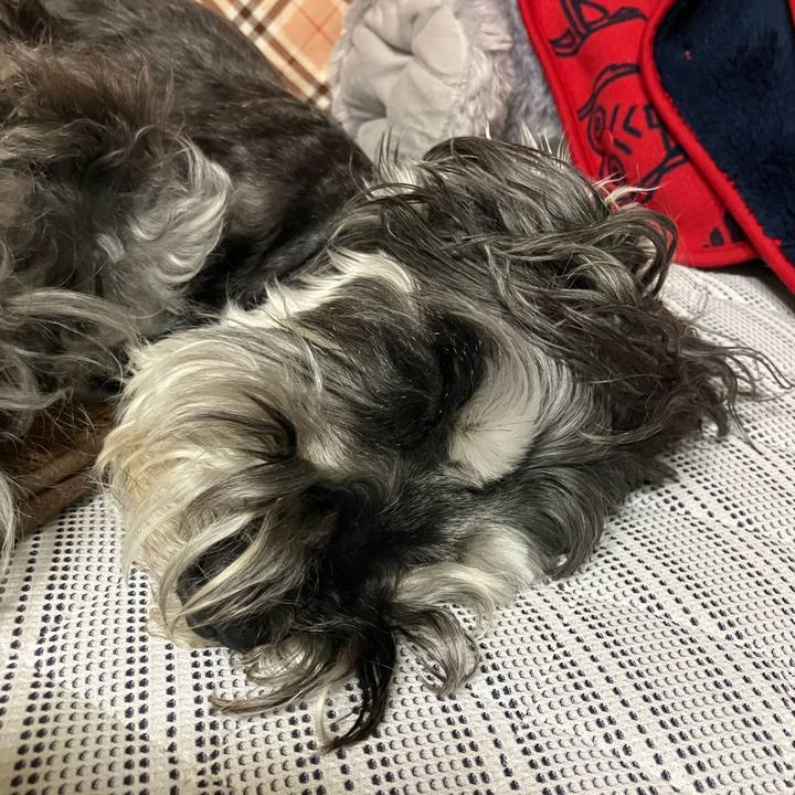 93f7b6f6 4253 49ee b1e7 565fc9a3187a 1718200972473