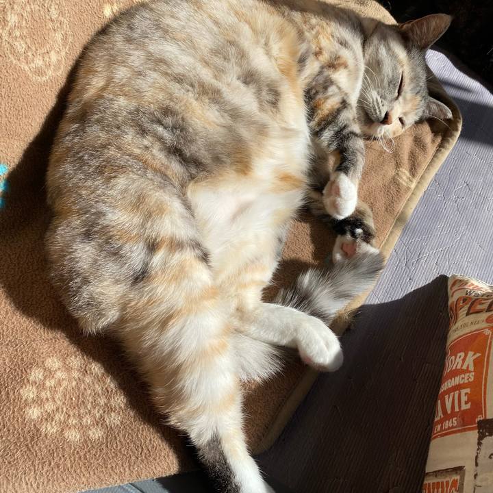 93f7c65a 2c7e 49e5 981d 539c830803a0 1644198771072