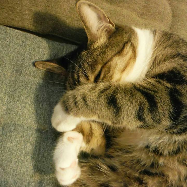 93f7f950 1bc5 4758 b376 fd1501629107 1536887061877