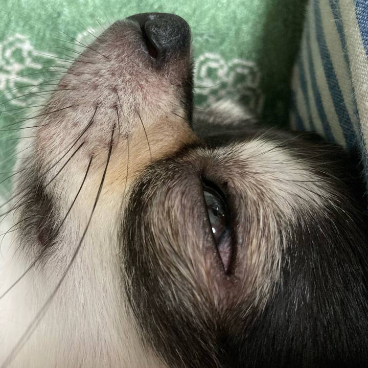 93f80bc6 82da 4258 bcdf 14dfdb45b334 1665931175626