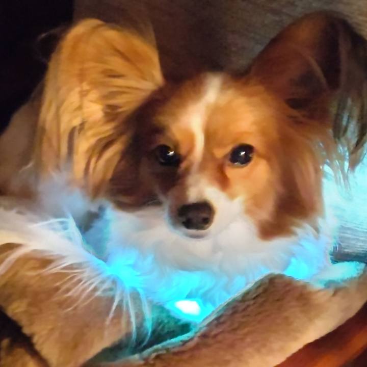 93f8541f 77ee 4fbd 98f4 e5379751d70f 1769177565382