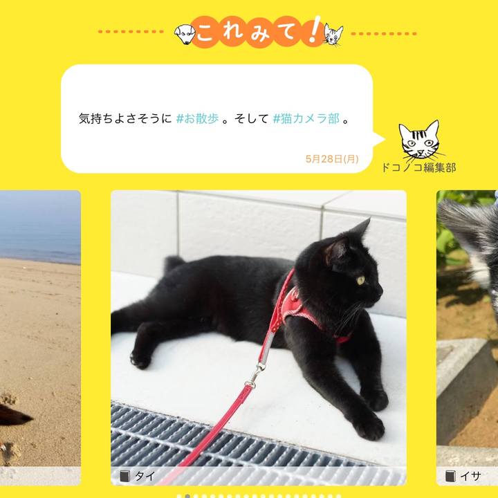 93f8888c 5869 4dec 9df7 28d72332b232 1527551245468