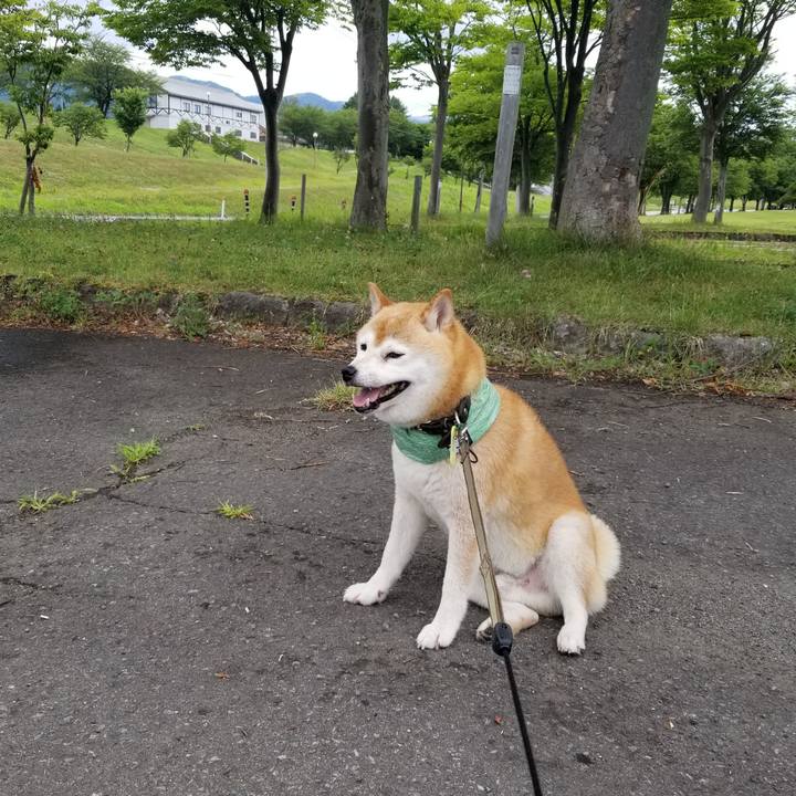 93f89632 fa21 4412 b001 4ae111f58e88 1657599994875