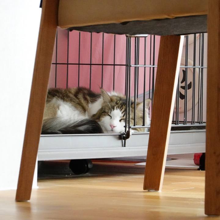 93f8a209 742b 4b49 ba82 c2e424d83da9 1593665566998