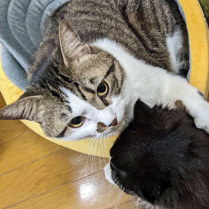 93f8c9e2 cff7 40d7 bc67 04c268d86e41 1668638728405