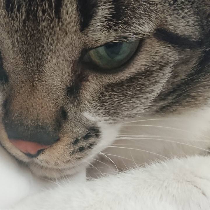 93f8cb91 8851 4d36 b5d9 11dc1afdbd58 1555743117846