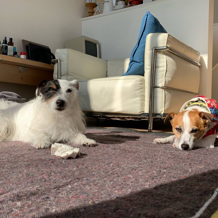 93f8f1f4 2b40 4fe0 9425 d66288ab9fc2 1611289921339