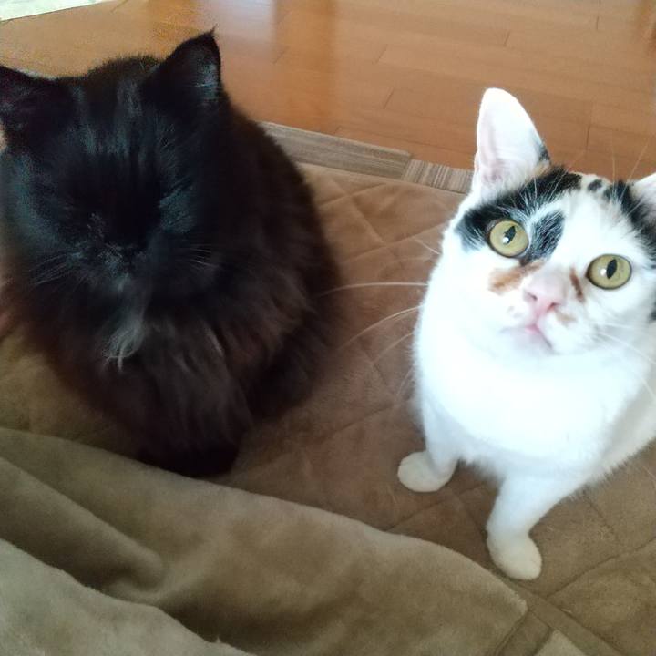 93f9244e f99c 4ab0 98b6 fa9d363171d6 1671058921493