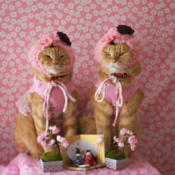 93f95489 4439 41ba b8eb 78d36eabf816 1520090610731