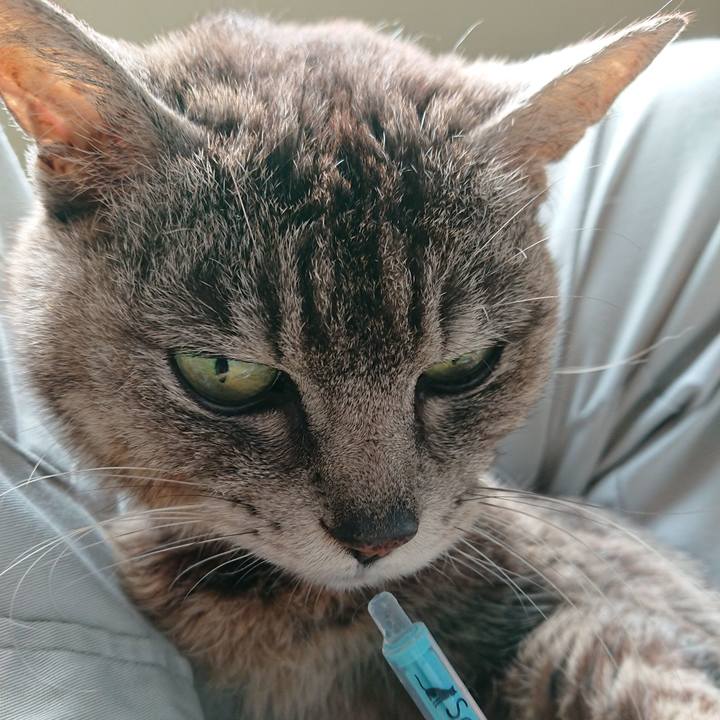 93f9591d ee1e 4b27 b956 ea5671d2d722 1592948781174