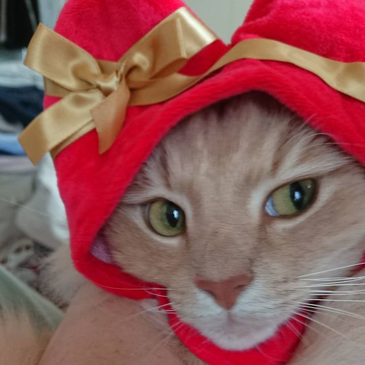 93f9719c 3f5b 428d af9b afd40bfc2621 1522636935492