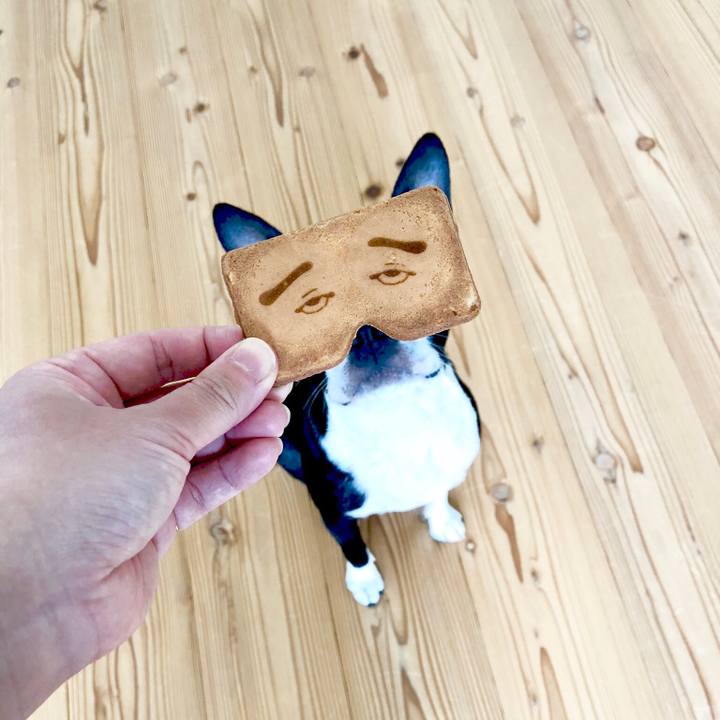 93f9a217 4fc9 4a81 ba88 3ca2724829cc 1523673540952