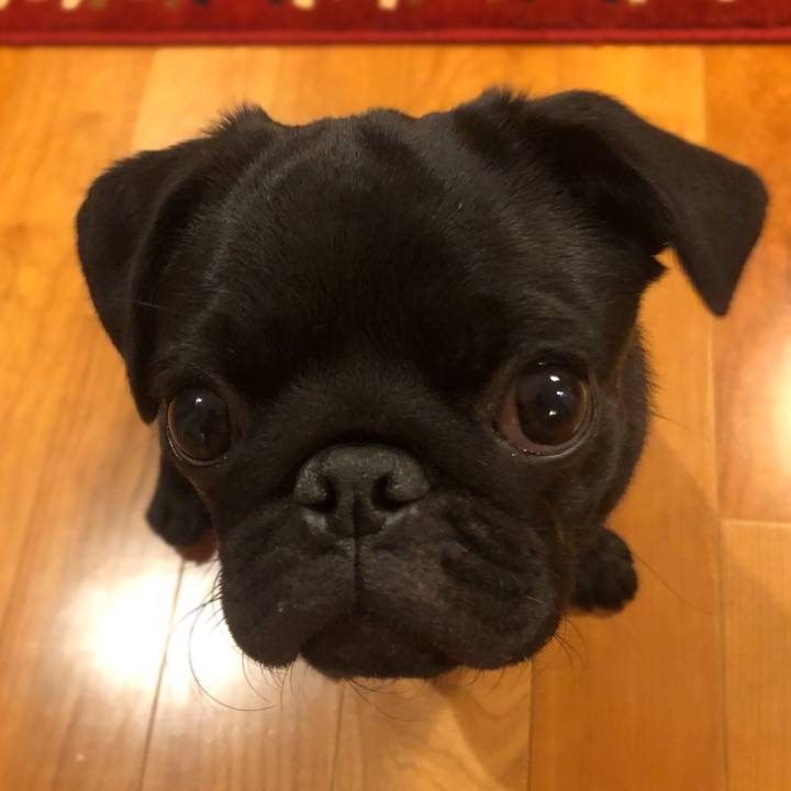 93f9a505 ab87 498d 8356 73473cb871f4 1605182647894