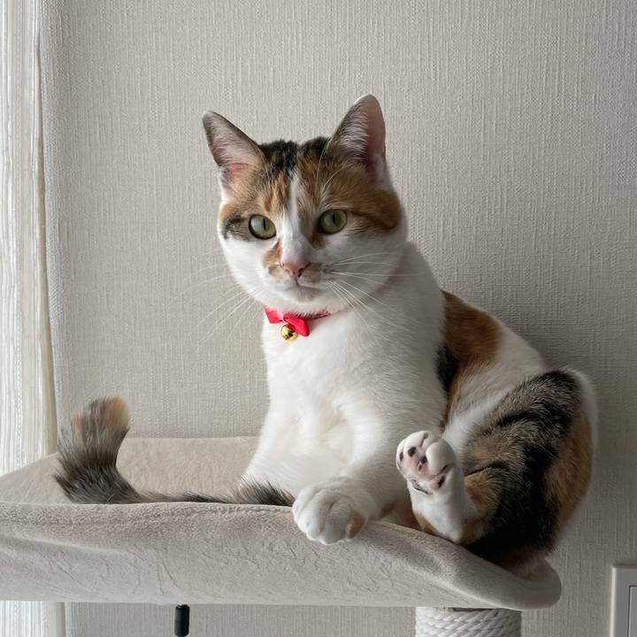 93fa2b02 5141 4036 a2d6 99a7f98ddbff 1615779525035