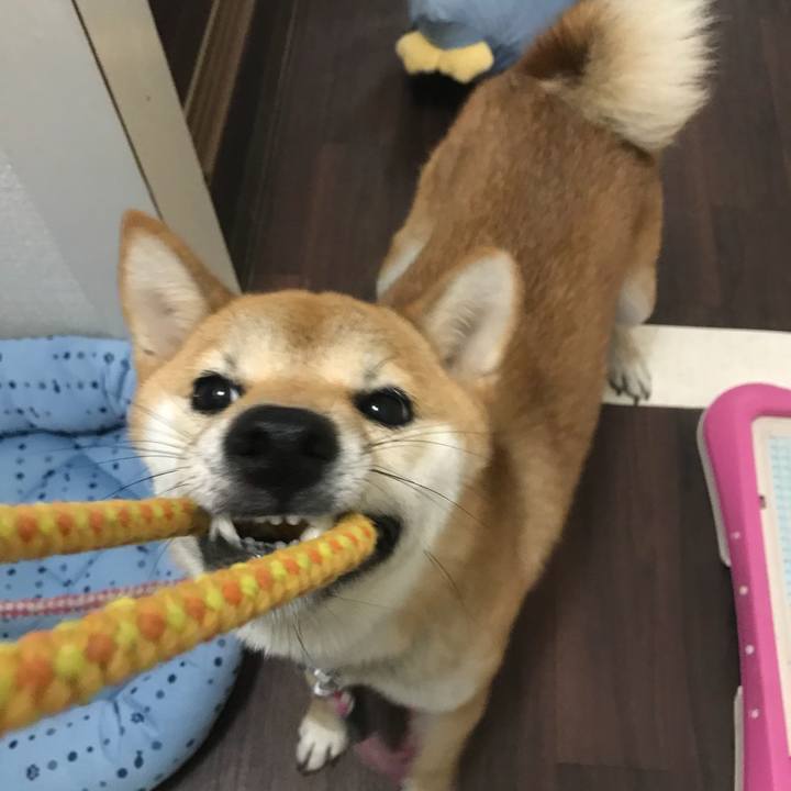 93fa5f13 71e9 4002 8d23 40e4433c8878 1533042643641