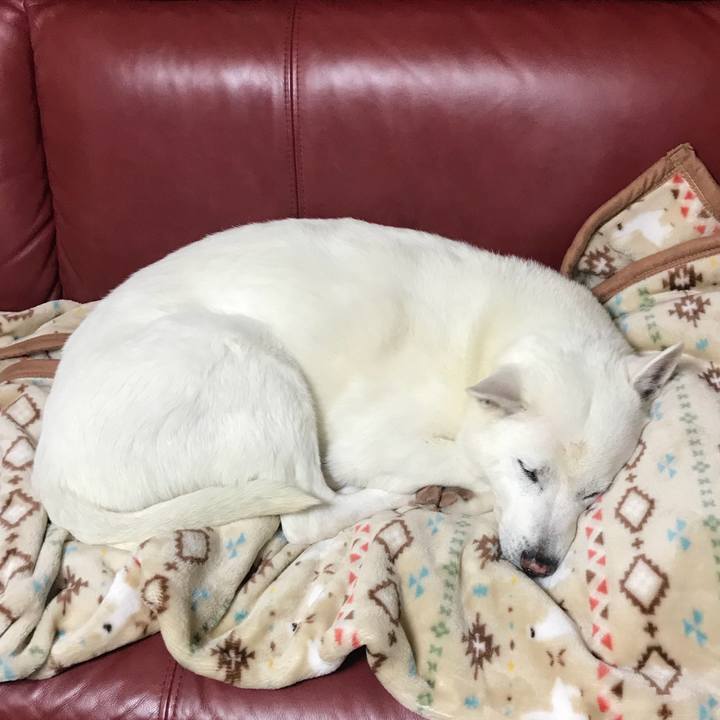 93fa7130 ae86 44a3 8fd0 4f6aae25546b 1514023660280