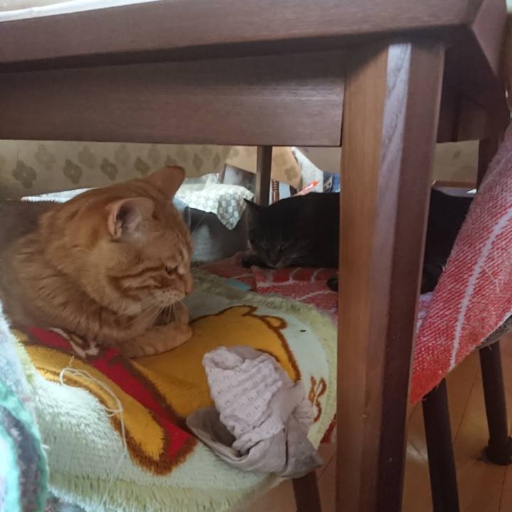 93fa78e4 9231 4fdf 9d30 b13496ab3a32 1649711047034