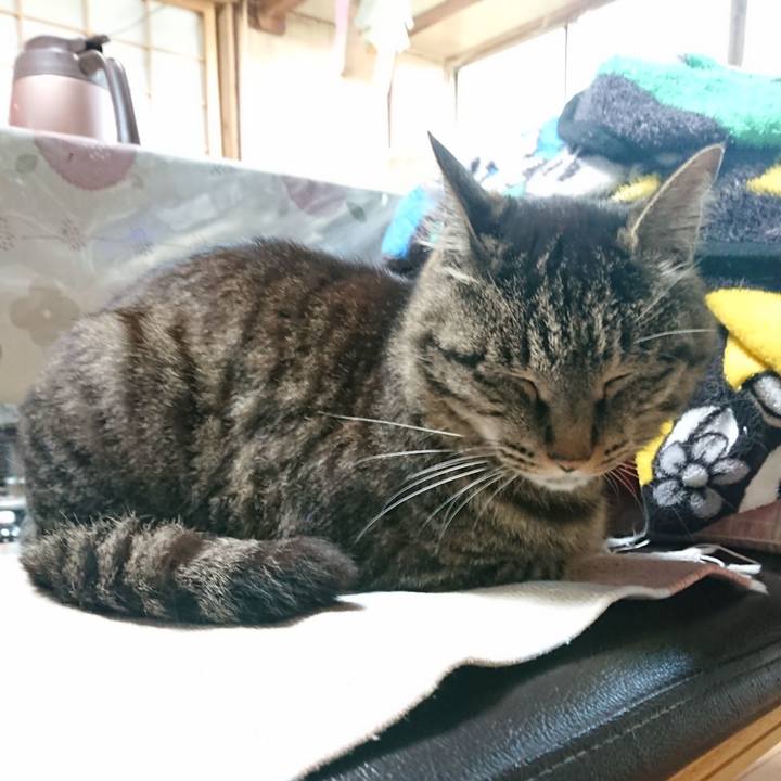 93faba59 9450 4c5c 81ed 8d00233cc7eb 1654219995039